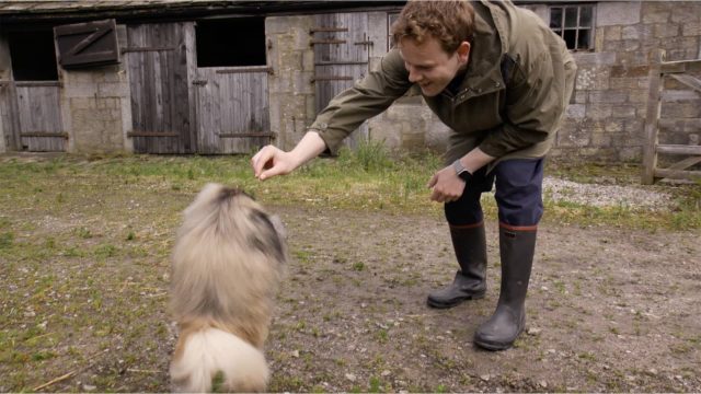 Callum Woodhouse training the dogs of All Creatures Great and Small