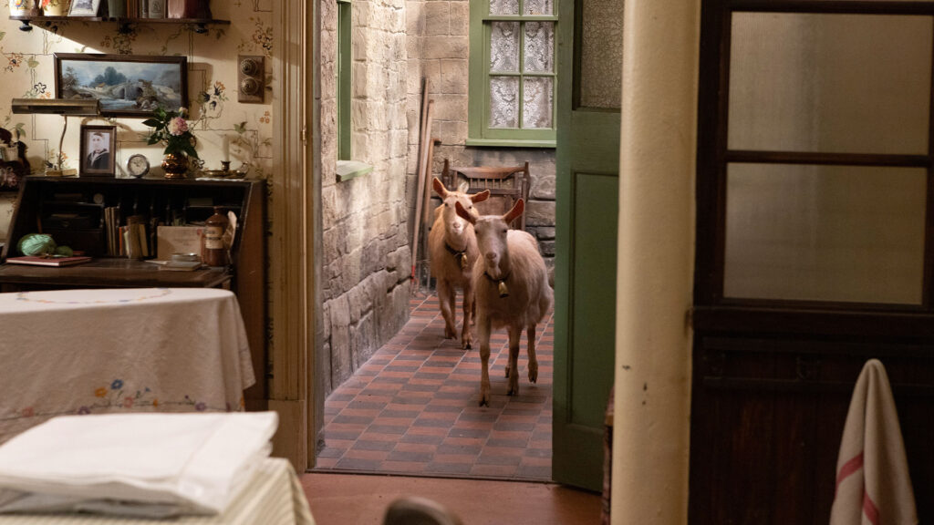 Two goats stand in the doorway of the kitchen at Skeldale House