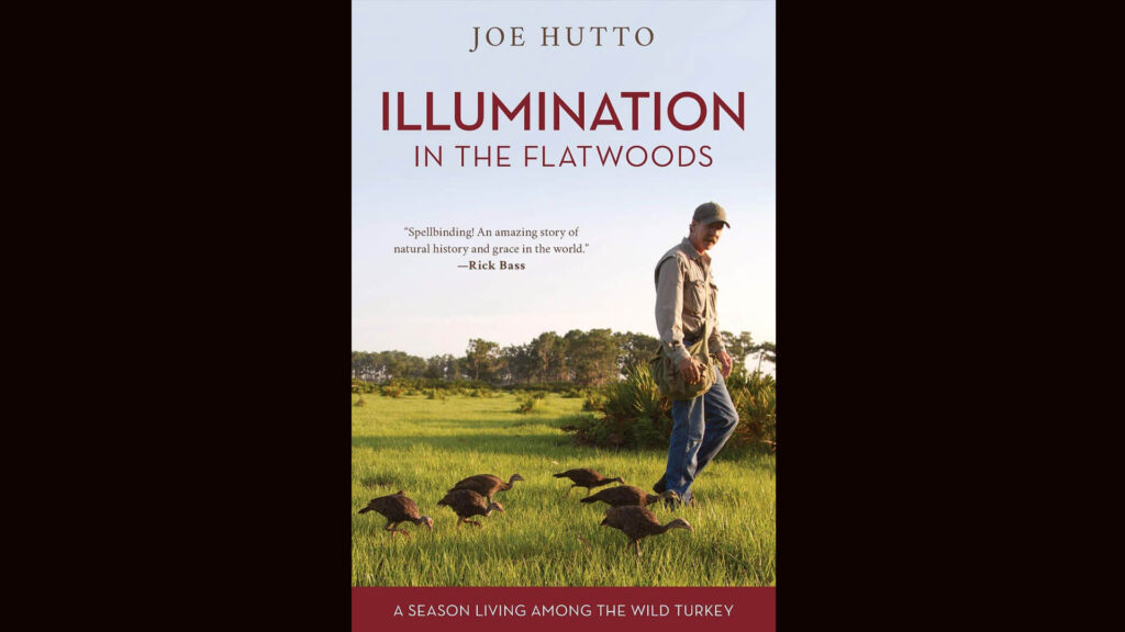 Cover of the book, Illuminations, by Jo Hutto.