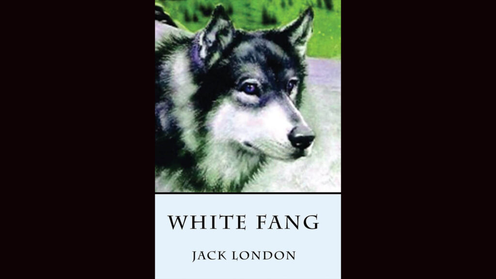 Cover of the classic adventure novel White Fang, by Jack London.