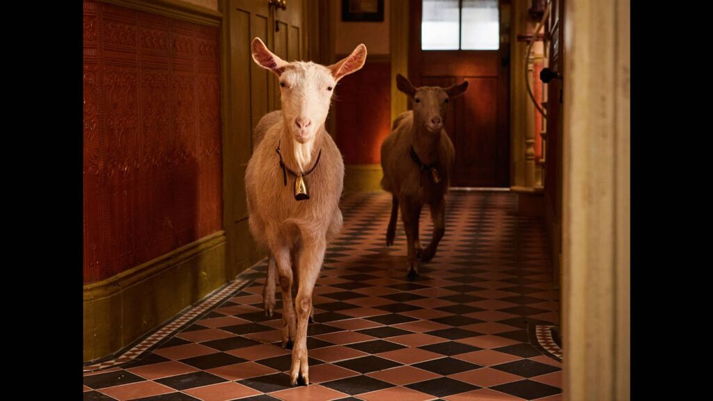 Betty and Hilda run down the hallway at Skeldale House