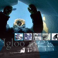 Igloo 101