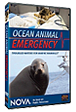 Ocean Animal Emergency