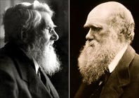 Darwin's Darkest Hour