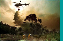 Australian bush fire
