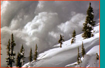 Avalanche