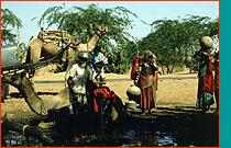 People gathering at a well in India