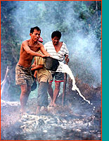 Indonesian forest fire