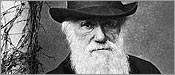 Evolution: The Evolutionary Arms Race