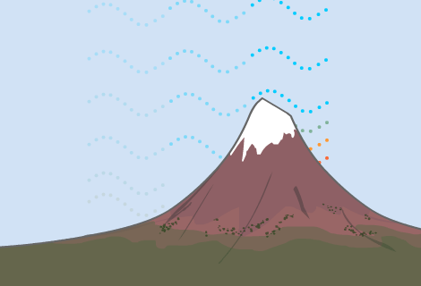 Summit