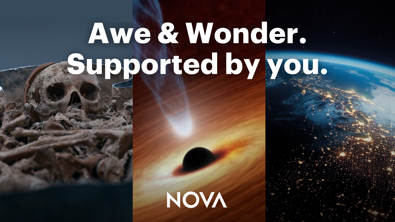 collage of nova films