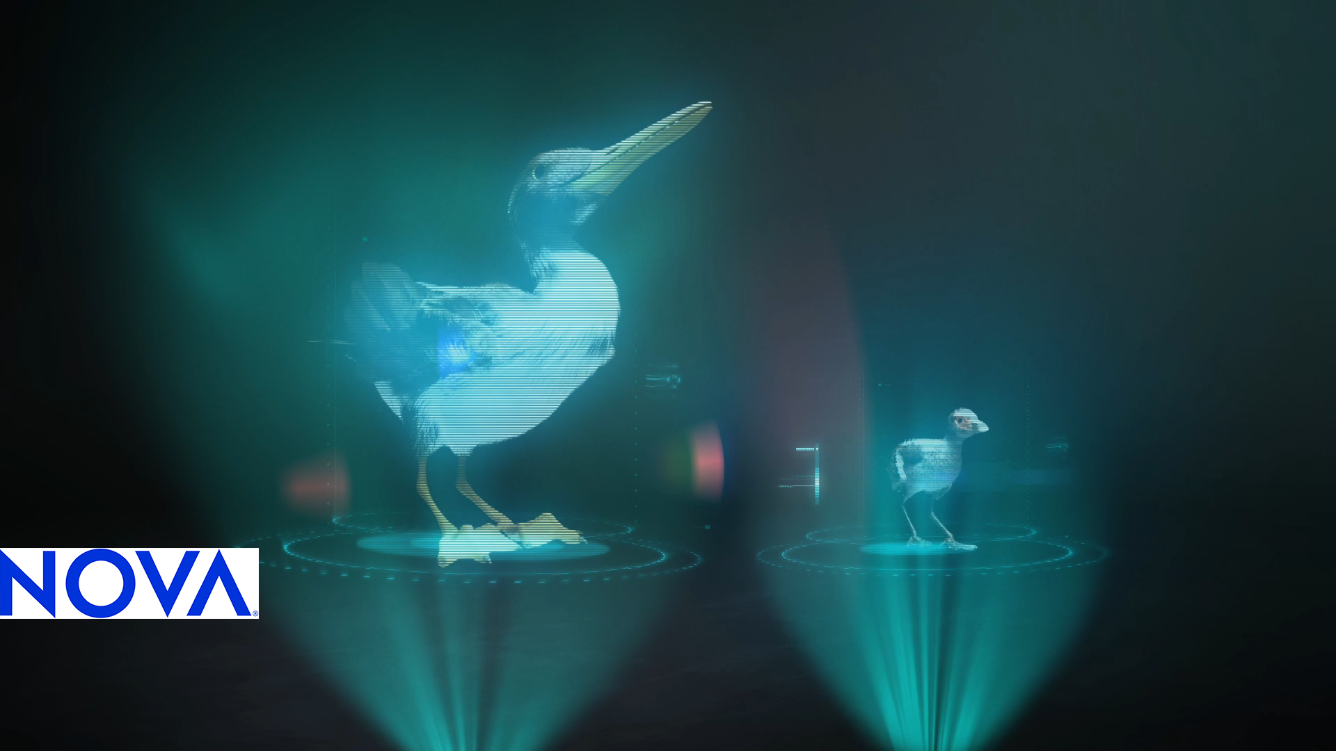 A holographic image of two holographic birds