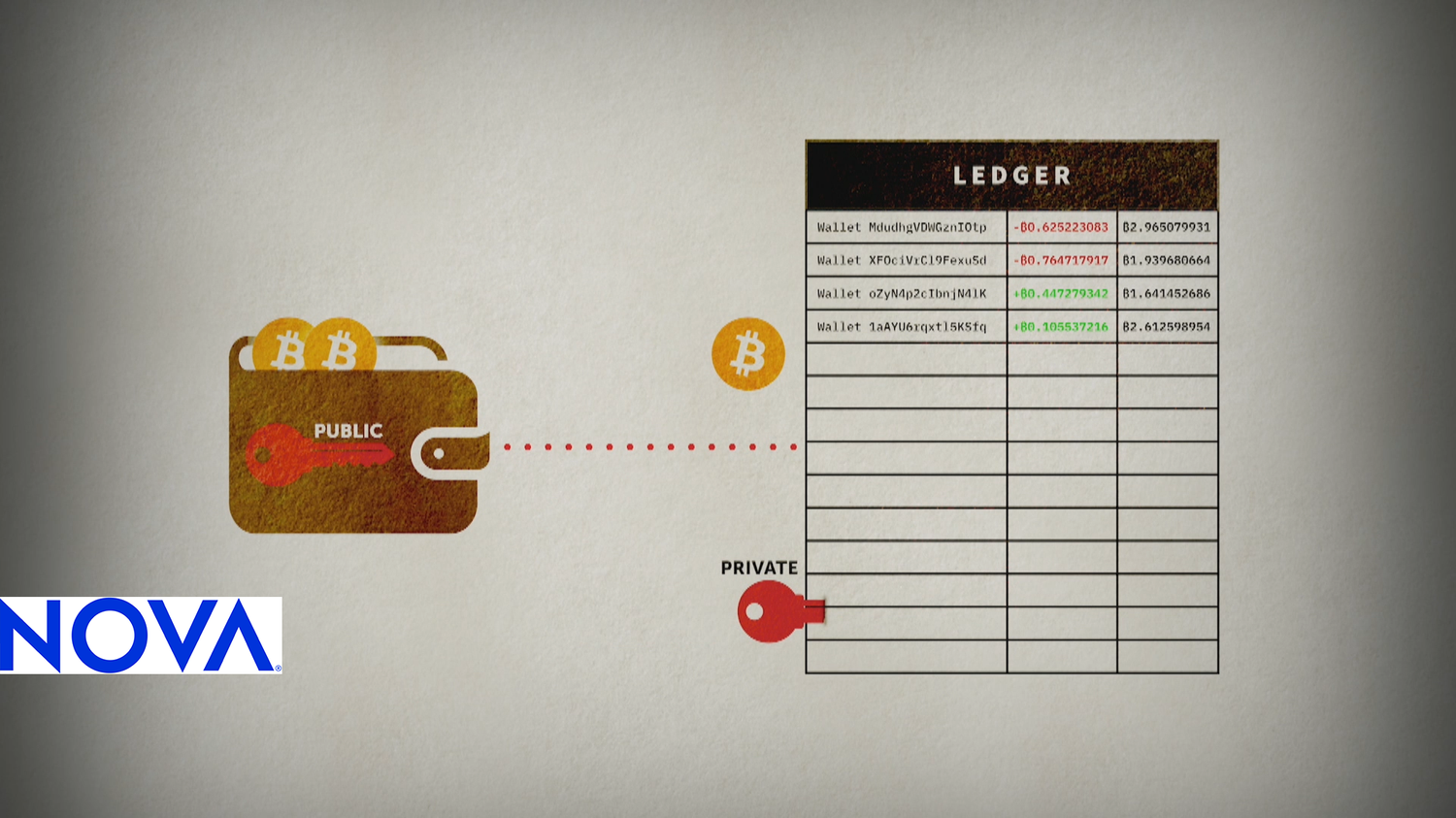 Search Results | NOVA | PBS