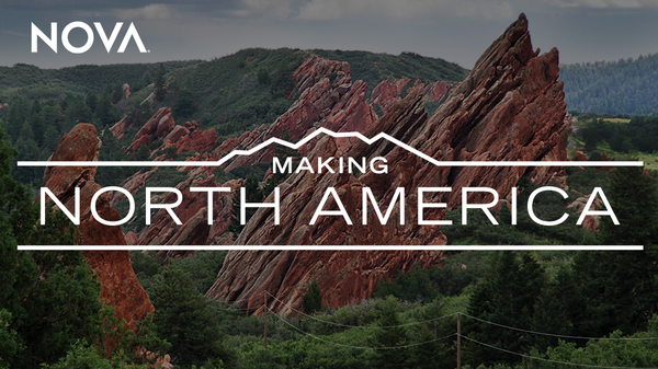 Search Results | NOVA | PBS