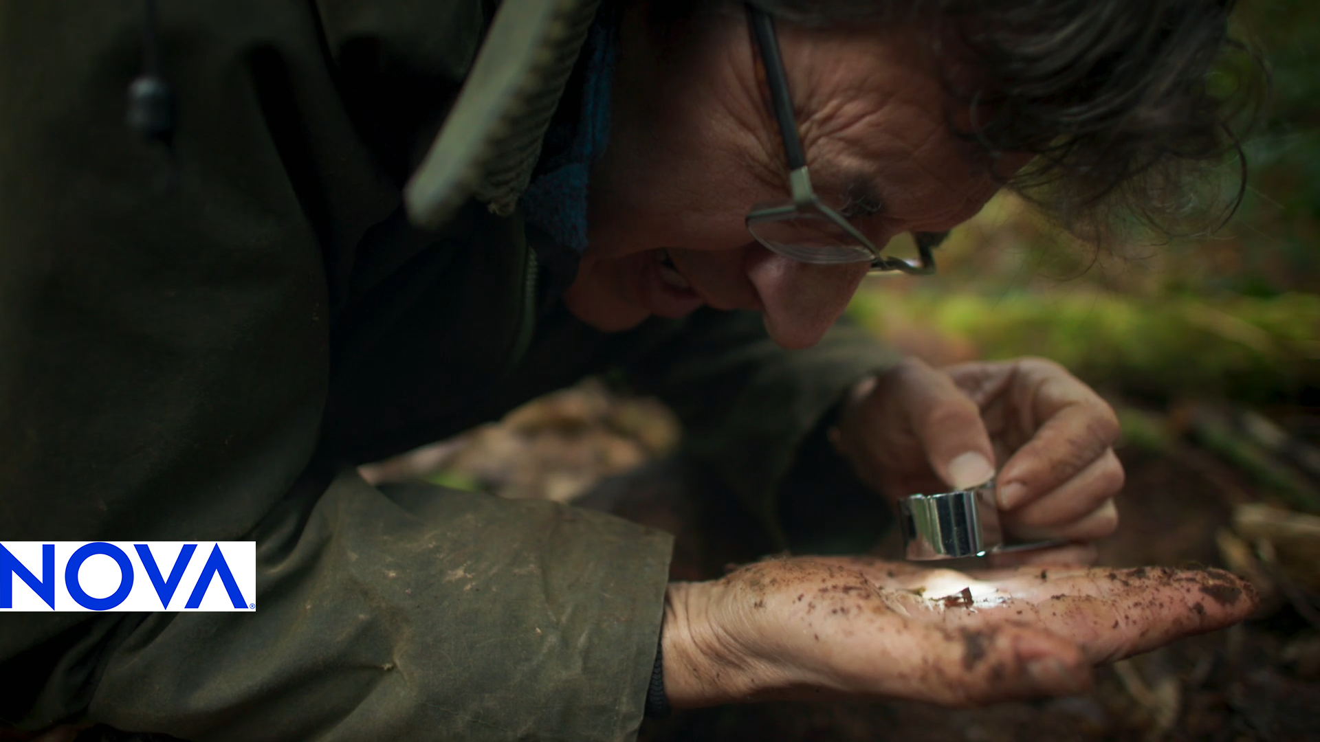 A soil scientist examines piece of organic matter in the palm of his hand