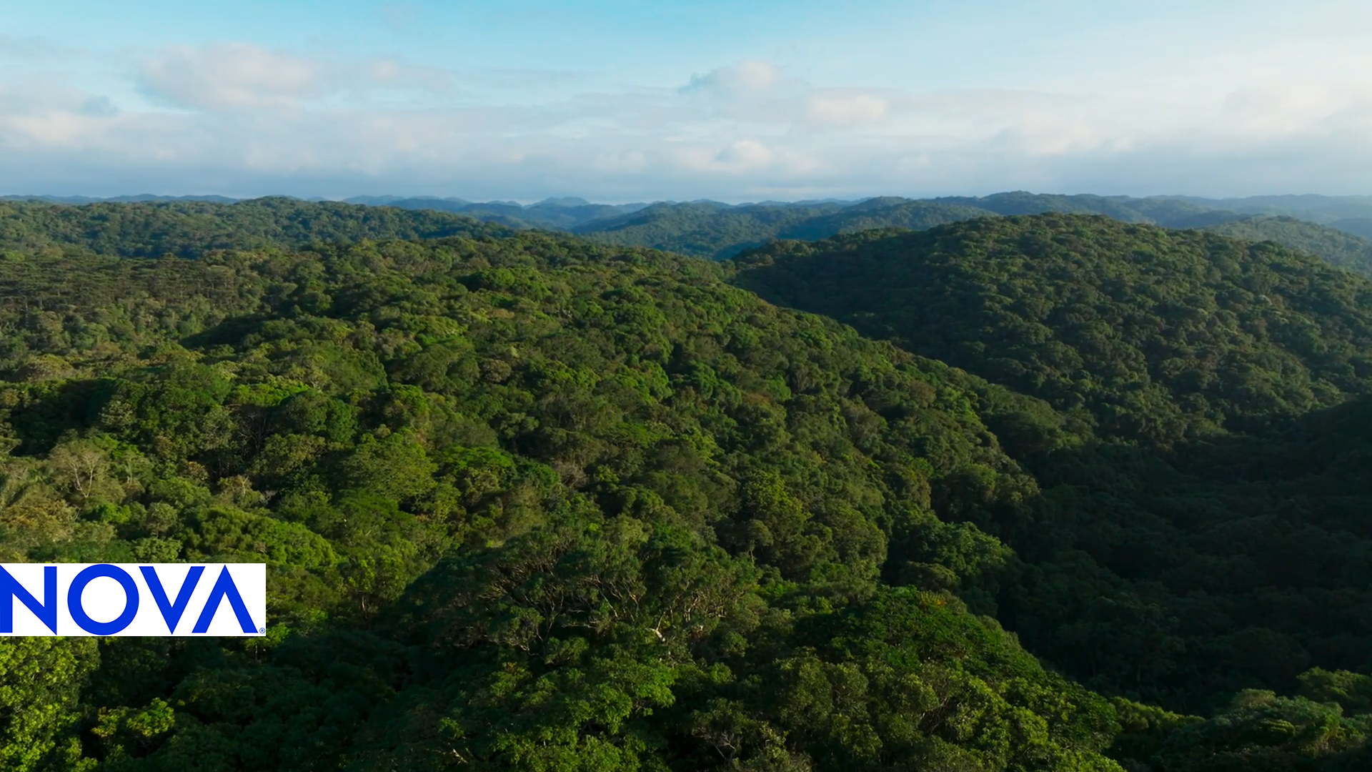 An image of forest covered hills