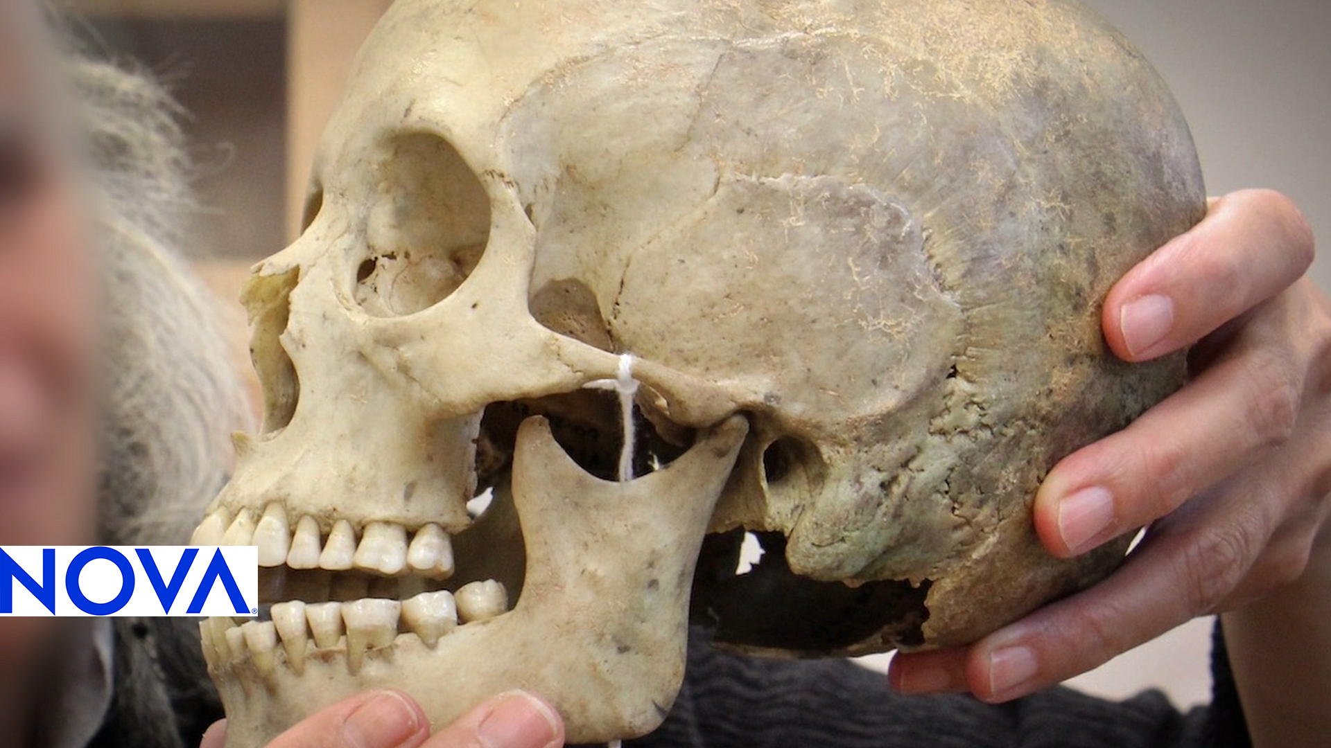 a scientist holds up a human skull