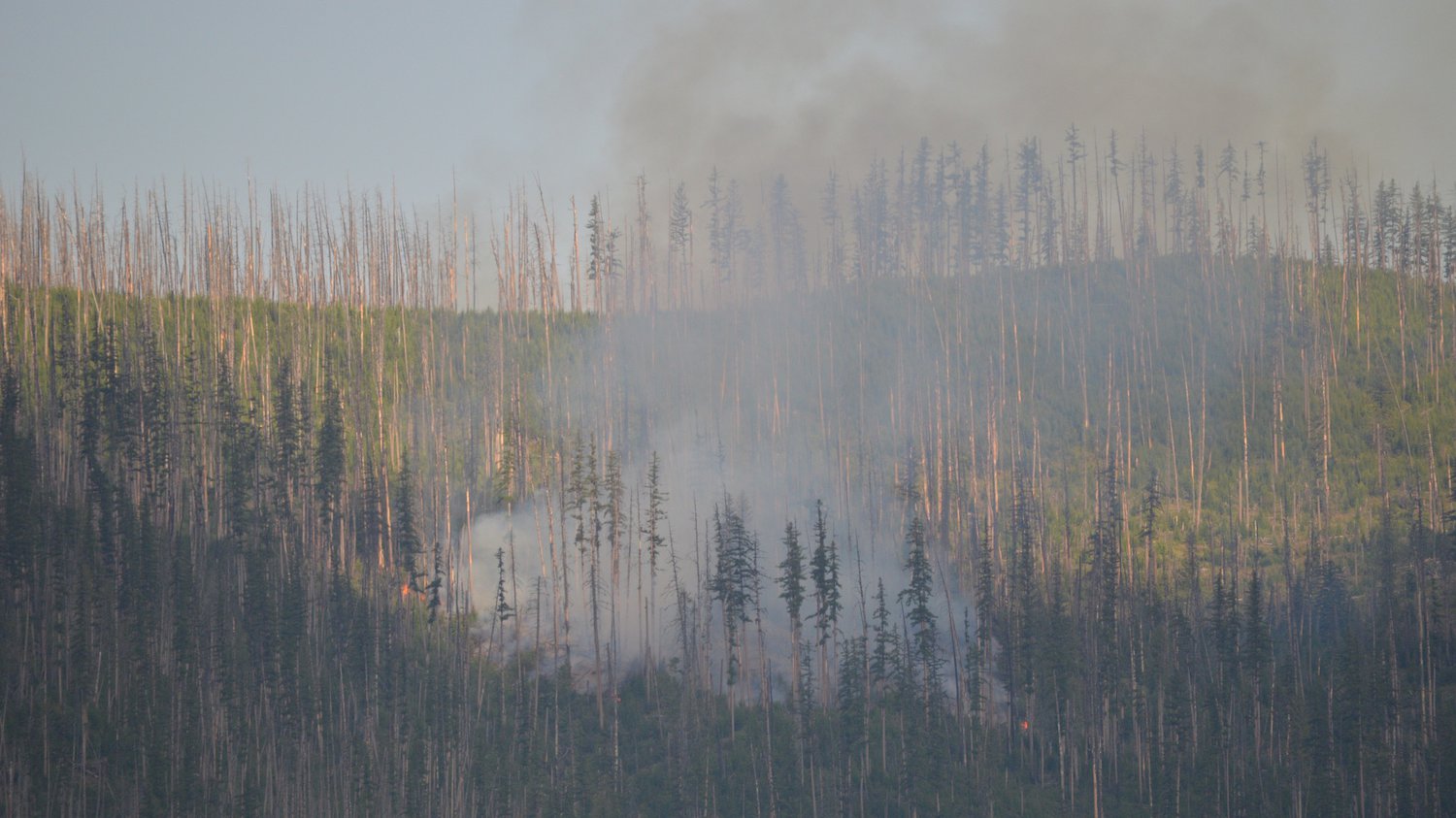 Howe Rdige Fire A Fuming Glacier National Park Faces Long-Term Consequences | NOVA | PBS