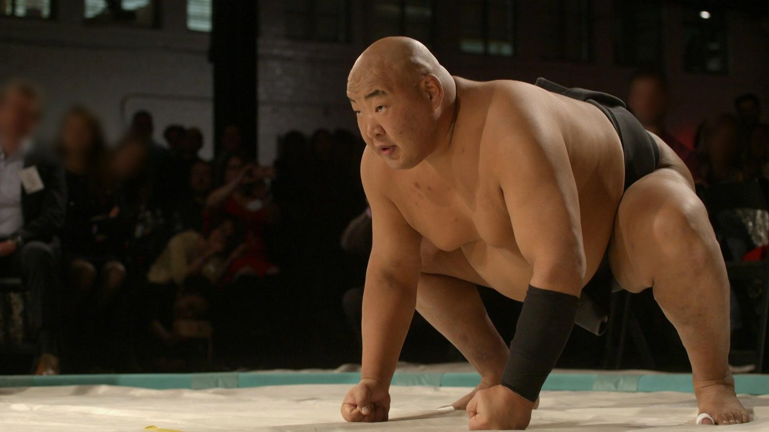 Why Do Sumo Wrestlers Have To Be Fat