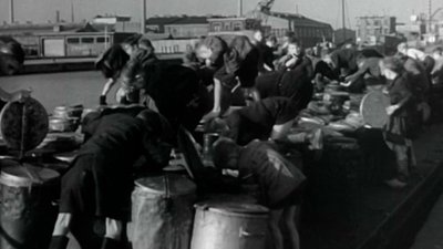 Your Brain | NOVA | PBS