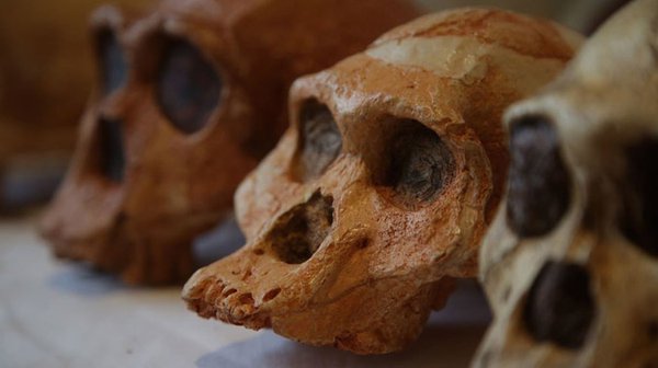 Dawn Of Humanity Nova Pbs