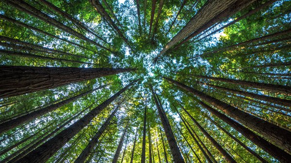 Can We Cool the Planet? | NOVA | PBS