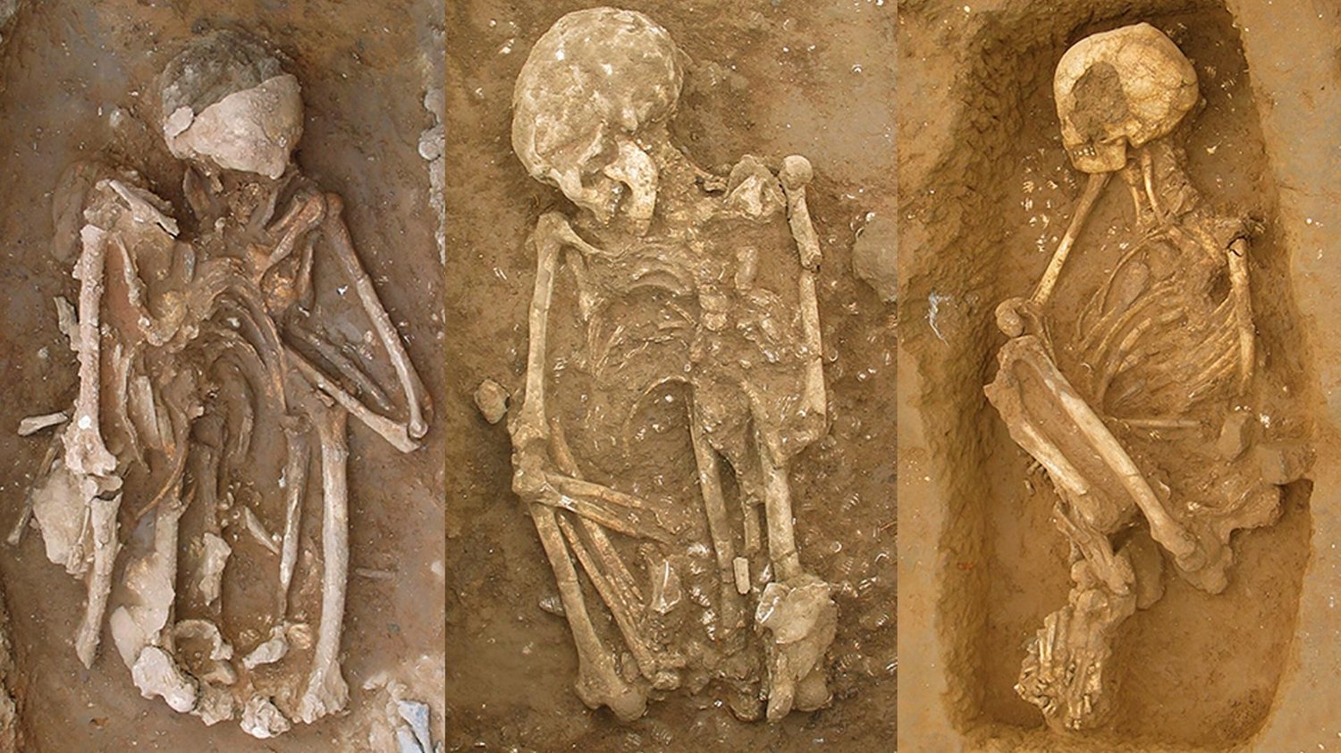 these-are-the-worlds-oldest-