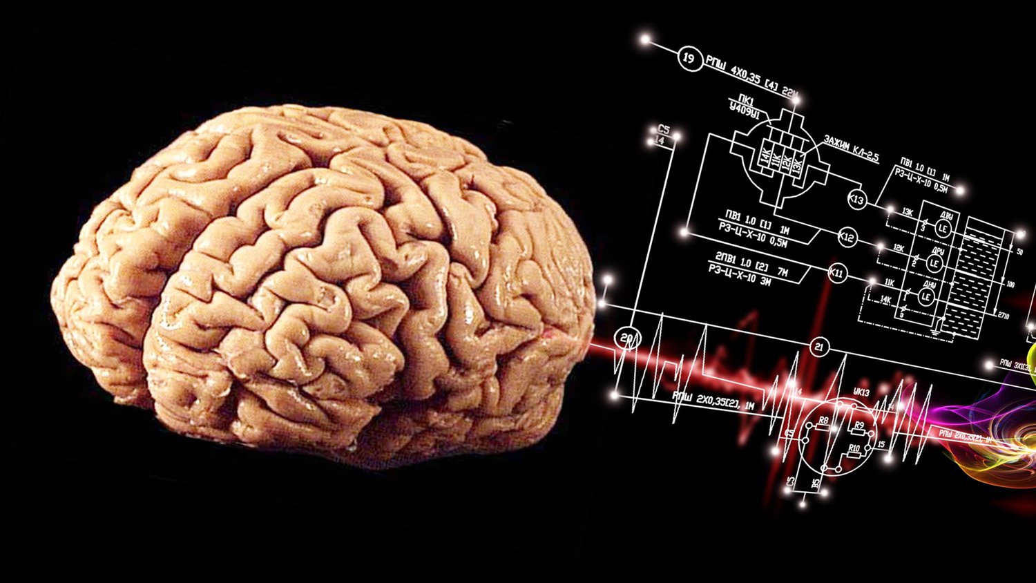 nova-wonders-nova-pbs