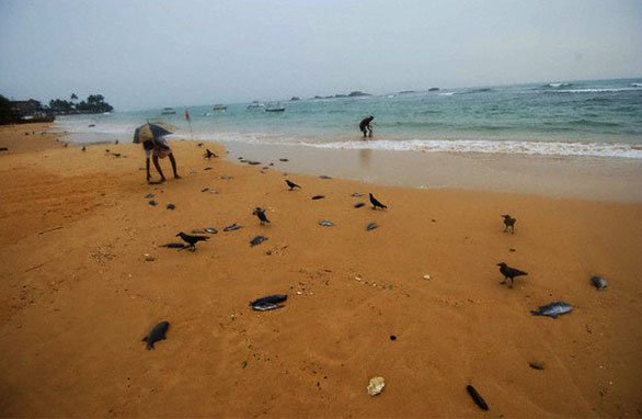 Wave Of The Future Nova Pbs