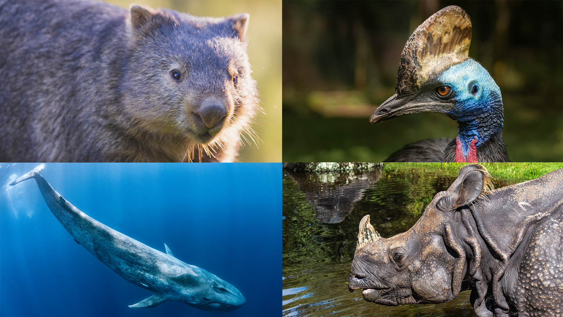 Secrets in the Scat | NOVA