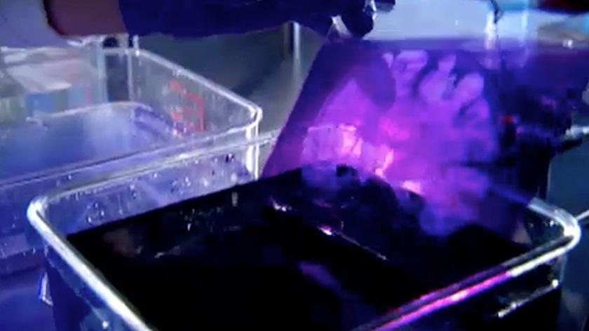 Viewing H.M.'s Brain Hero