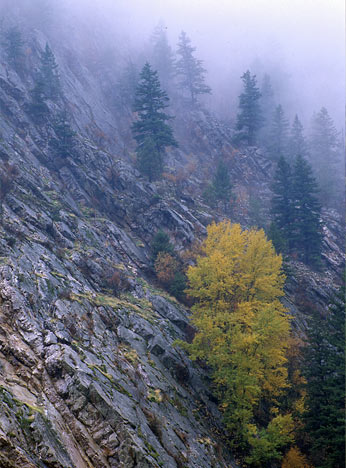 Blackfoot river