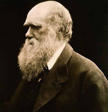 Darwin