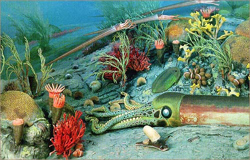 Ordovician period