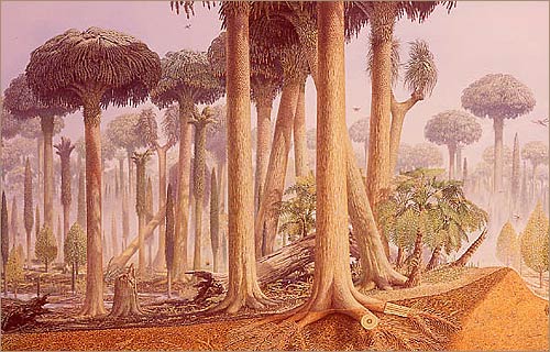 Carboniferous period