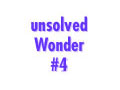 wonder placeholder