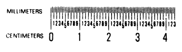 ruler
