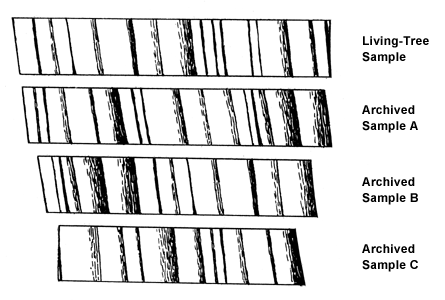 4 treering samples