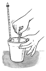 cup, thermometer, stirring