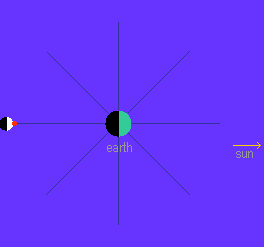 Question 4 animation