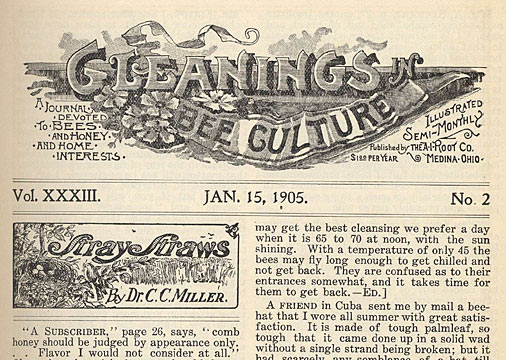 Gleanings in Bee Culture of January 15, 1905