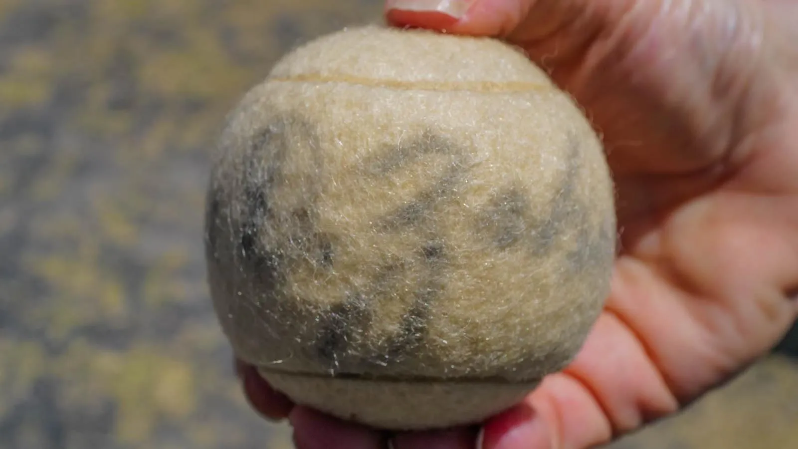 A hand holding a faded tennis ball with a faded signature