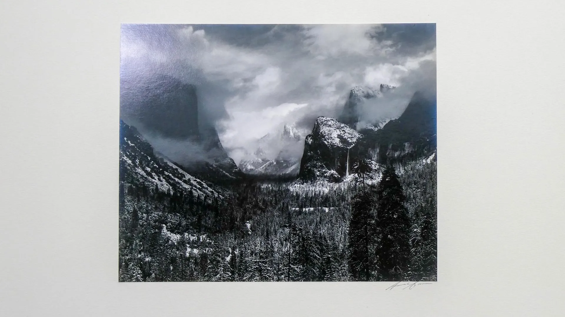 A greyscale realistic image of a forest with mountains in the background.
