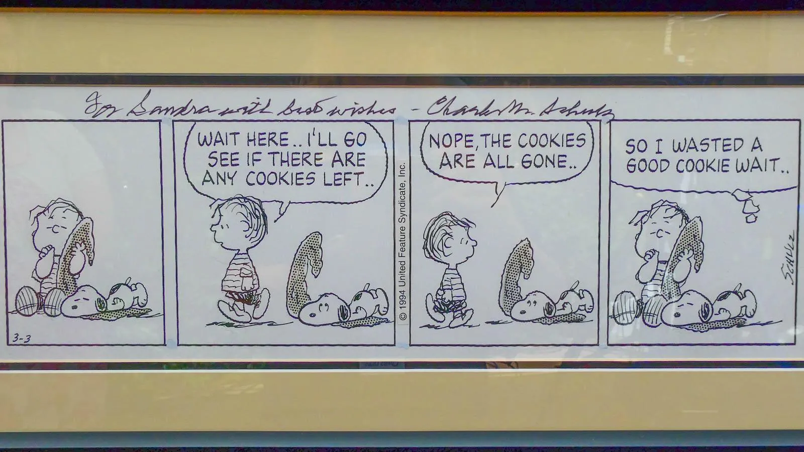 A framed comic strip of Linus and snoopy from the popular "Peanuts" strip comic series