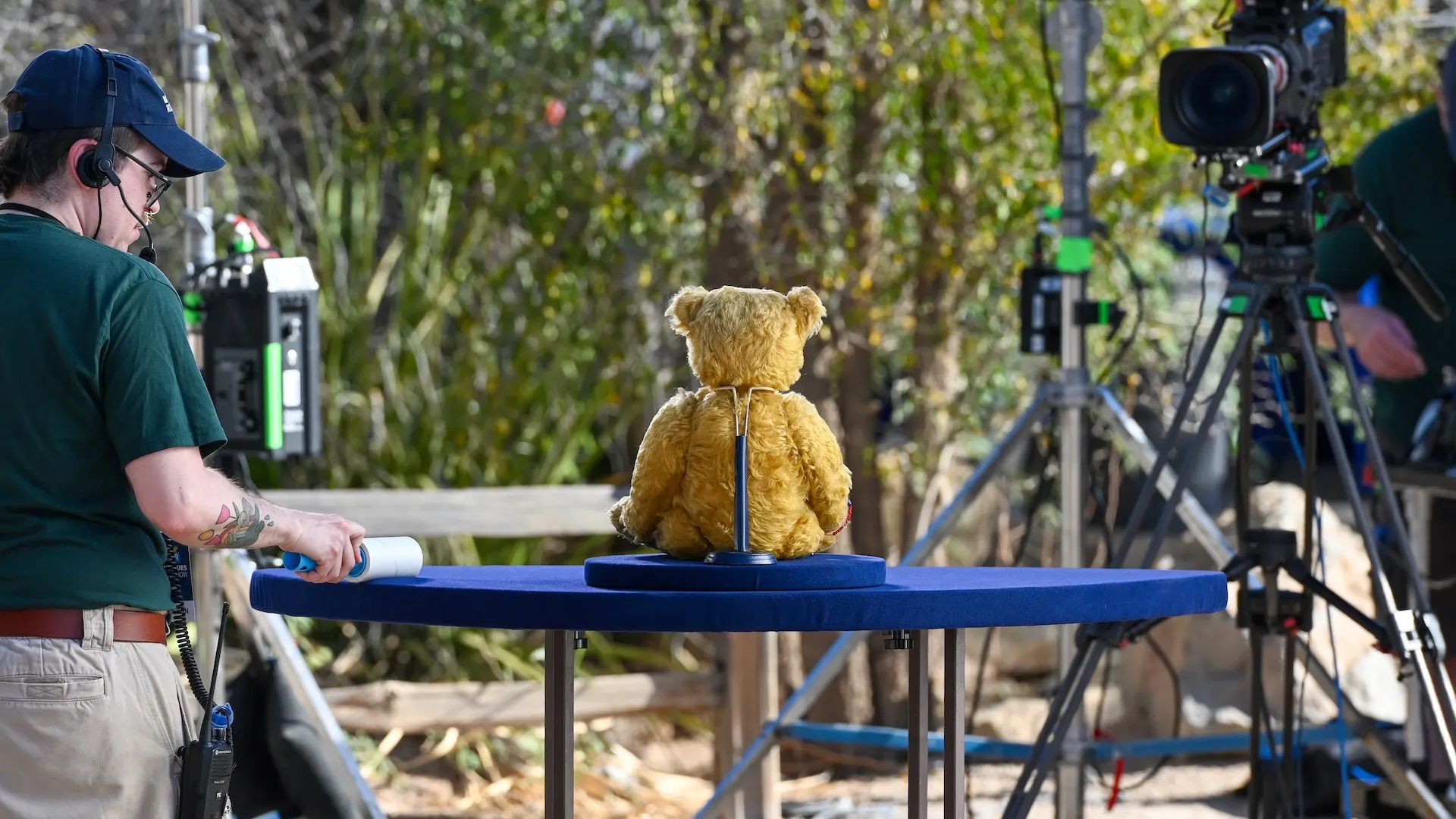 A photo of a behind the scenes view of a teddy bear appraisal