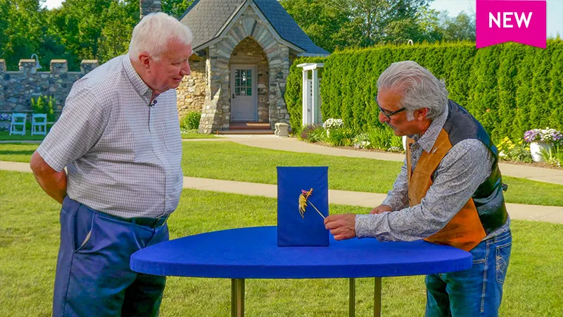 Color photo of a man watching appraiser Kevin Zavian point to a small bird pin in front of a stone building