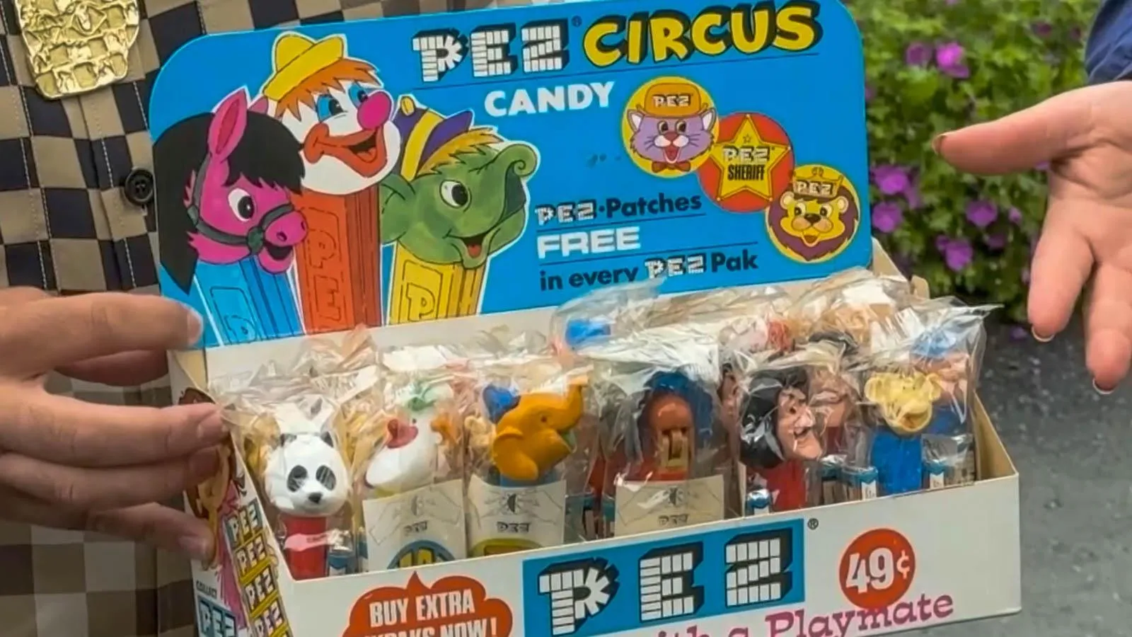 Two hands holding a box of various PEZ candy dispensers