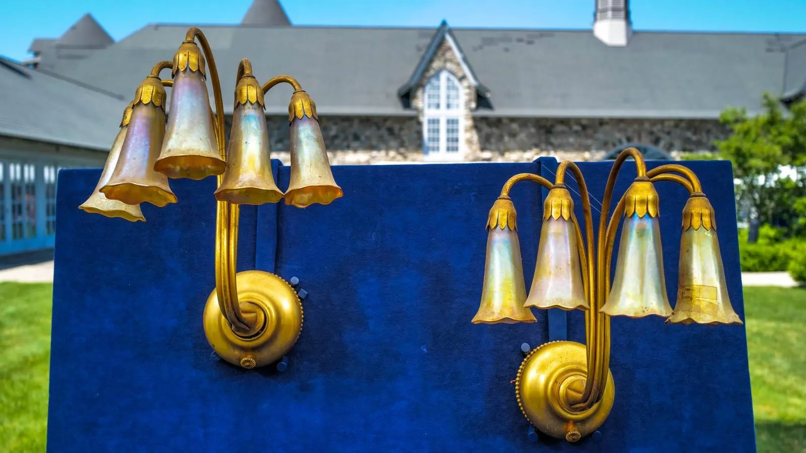 Two sconces side by side with five tulip shaped bulbs each with a gold and pearly finish.