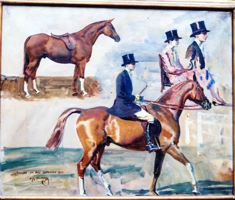 Study of Belle & Horse