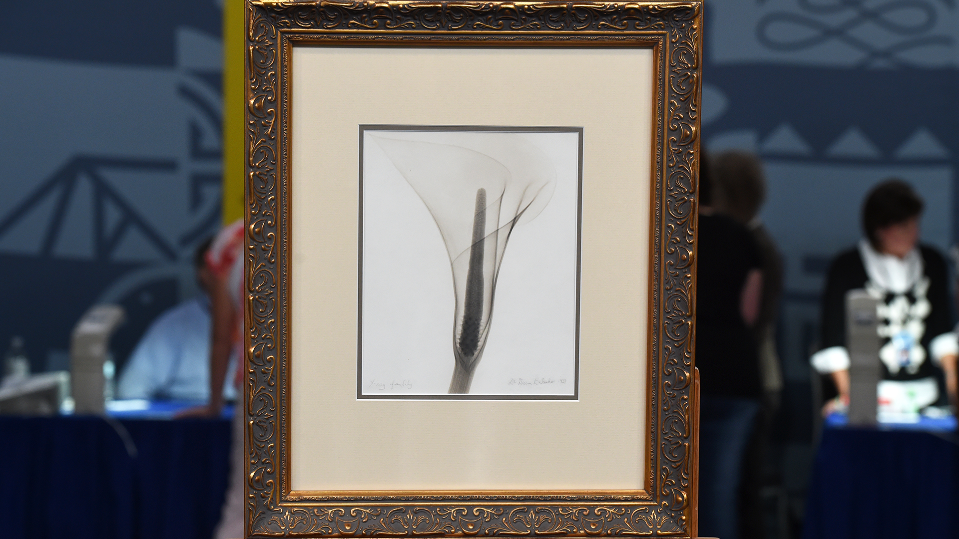 Antiques Roadshow | PBS